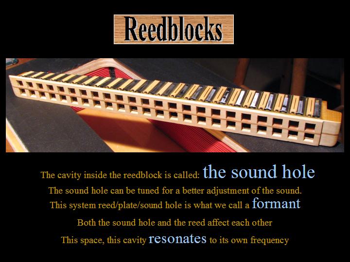 The Reedblock and the reeds cavities called soundholes