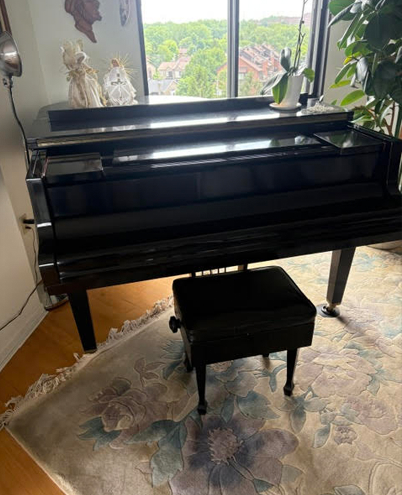 Qualité du Piano petit queue Petrof