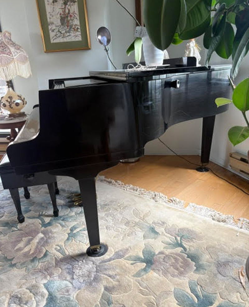 Qualité du Piano petit queue Petrof