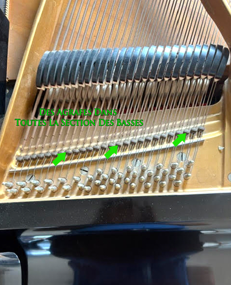 Qualité du Piano petit queue Petrof