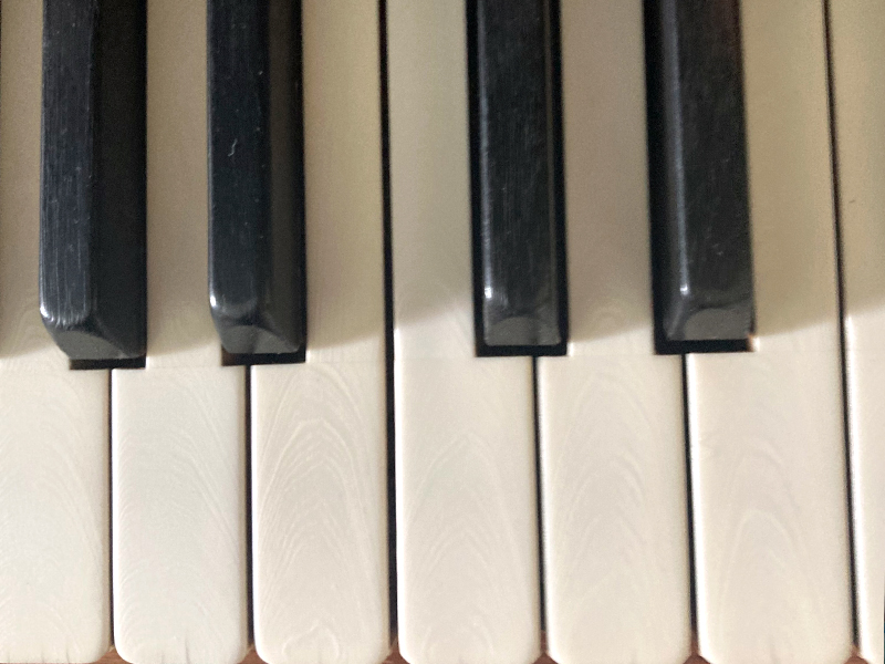 Le clavier en ivoire du petit piano à queue Knabe