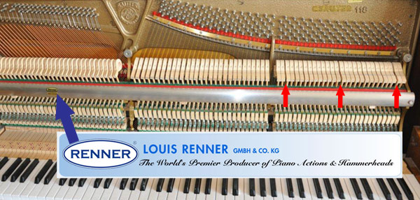 Action Louis Renner